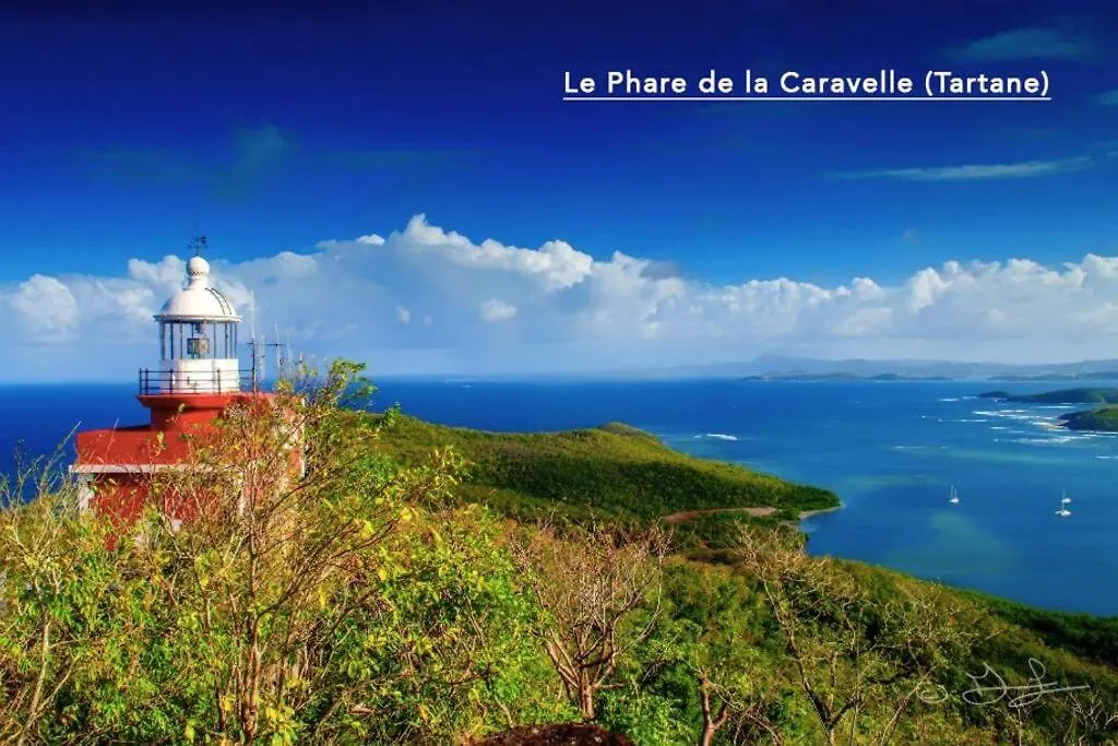 F2 Ixora - Spa - Piscine - Vue Mer - 9 Min De La Plage - Ti Zwezo Paradi La Trinité Martinica